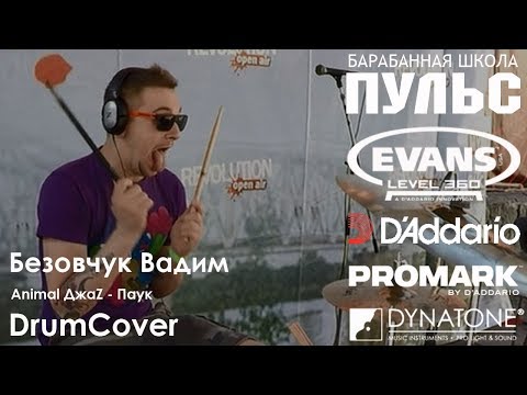 Видео: Безовчук Вадим - Animal ДжаZ - Паук (DrumCover)