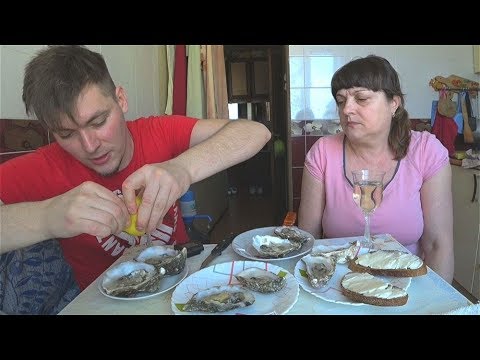 Видео: ОБЗОР ВСЕХ ВИДОВ УСТРИЦ ИЗ СИЛЬПО
