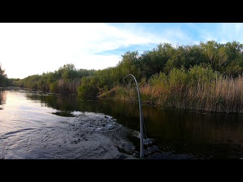 Видео: ОНА ВЗЯЛА НА БУКСИР ! Рыбалка с ночевкой! Закидушки Бутылки Отдых Шашлык!