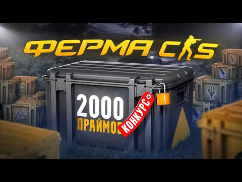 Видео: ФЕРМА КС2. ОЧЕРЕДНАЯ ФЕРМА НА 2000 ПРАЙМОВ. СКОЛЬКО ЗАРАБОТАЛ? + КОНКУРС