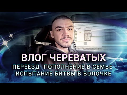 Видео: Испытание в Битве Сильнейших. Переезд. Пополнение в семье.