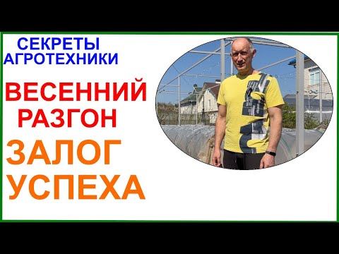 Видео: Весенние укрытия для винограда в Подмосковье залог успеха. Практика применения и нюансы.