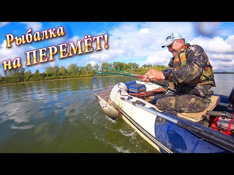 Видео: Как Ловить на Перемет! Ловля Щуки! Выбор Места - Отличный Улов!