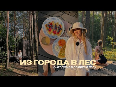 Видео: Уехали от городской суеты: медленный отдых в лесной хижине | calm vlog