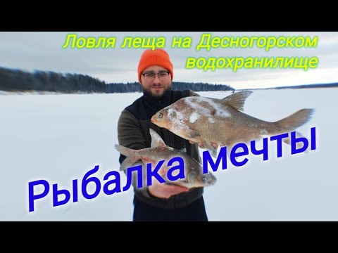 Видео: Не был в этих краях 4 года! Лещи на месте!Десногорское водохранилище и ночная рыбалка в палатке!