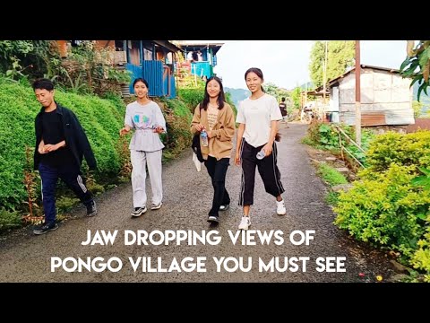 Видео: Потрясающие виды Понго