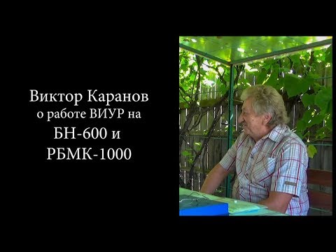 Видео: Виктор Каранов - ВИУР двух разных реакторов