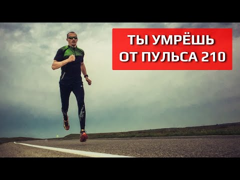 Видео: Мифы о высоком пульсе в спорте