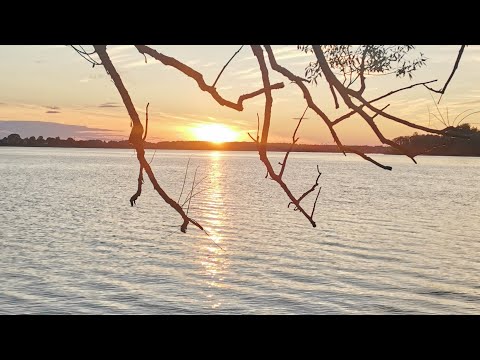 Видео: Рыбылка с сыном с ночёвкой на чудо-озере. Удомля