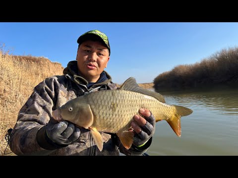 Видео: ЗАКРЫТИЕ СЕЗОНА ПО ЖИДКОЙ ВОДЕ! ​⁠@Рыбак Всемогущий #рыбалка #врек #fishing #карп #сазан #нура #река
