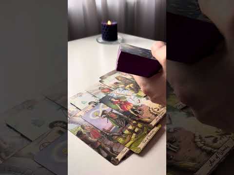 Видео: МЫСЛИ … ЧУВСТВА….ДЕЙСТВИЯ….!