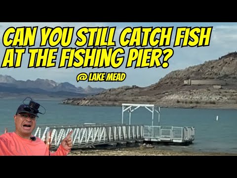 Видео: Можно ли все еще ловить рыбу на рыболовном пирсе Хеменвэй?