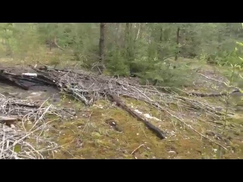 Видео: Бердовка. 142 РП. Боевая позиция 2- дивизиона 142-го РП РВСН. Часть 3