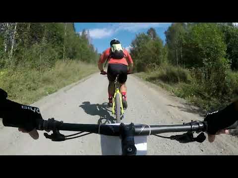 Видео: Веломарафон Тягун-Заринск 2024