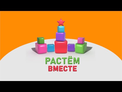 Видео: "Творчество как решение задачи" (Крашенинников Е.Е.) и "Что такое умение учиться?" (Сиднева А.Н.)