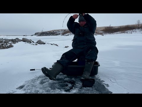 Видео: ПОД СКАЛОЙ АНШЛАГ!ЗАКИДУШКИ НА ДОХЛОГО ЖИВЦА СТОЯЛИ!!