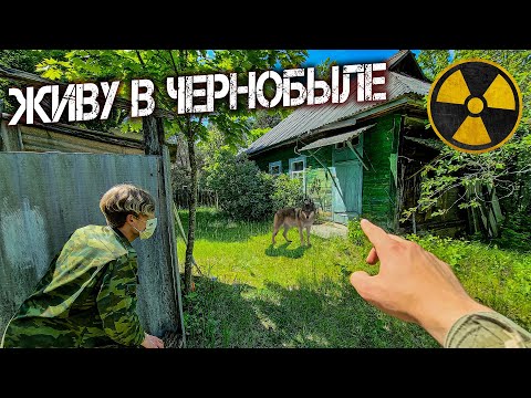 Видео: Что будет если жить в Чернобыле? Строю бункер в лесу. Нашел тайник сталкеров в доме отшельника