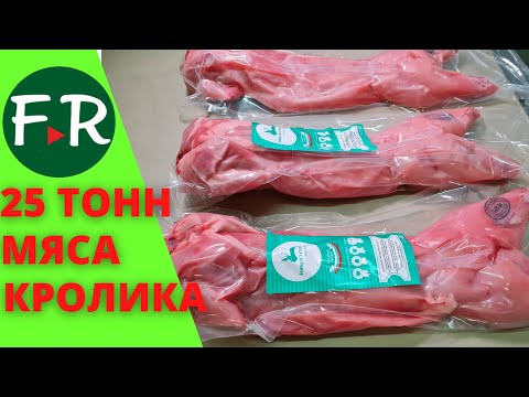 Видео: Кроликоферма на 25 тонн крольчатины в живом весе в месяц. Переработка голов, крови, шкур кроликов!