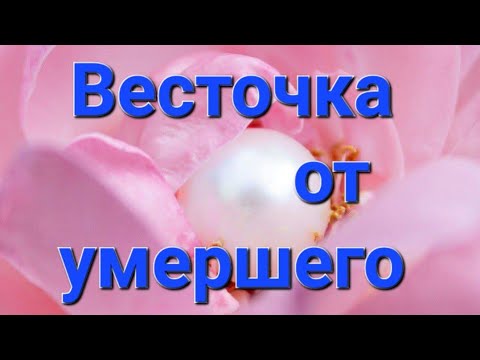 Видео: ✨️✨️Весточка от умершего, от ушедшей в мир иной Души ✨️ 🕊 ✨️ 🕊 💖