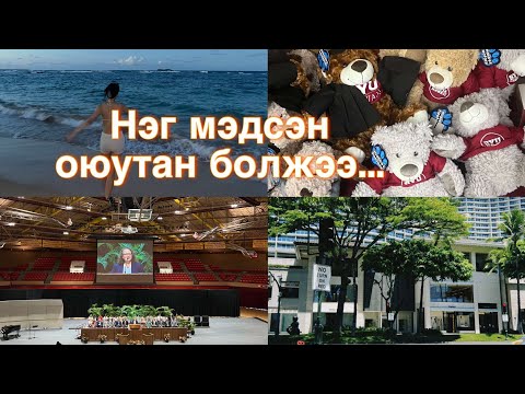 Видео: ГАДААД🇺🇸🏝| ДОТУУР БАЙР| ХИЧЭЭЛ НОМ| ИХ СУРГУУЛЬ | БҮТЭЛГҮЙ ӨДРҮҮД...