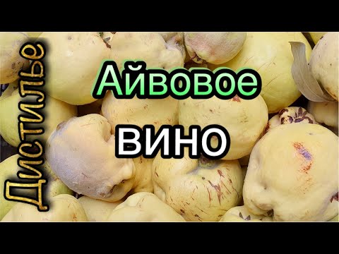 Видео: 🍷Вино из айвы🍏пошаговый рецепт