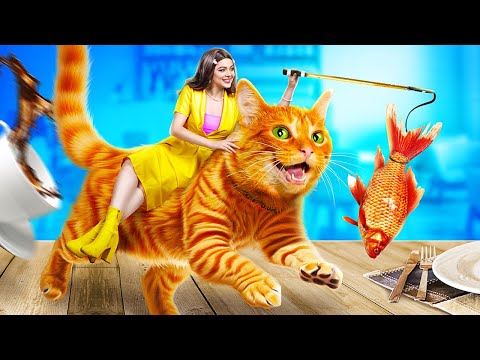 Видео: Мы спасли бездомных котят! Еда для домашних животных