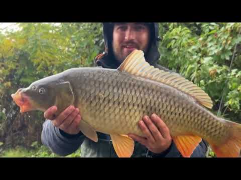 Видео: 🎣 Неочікуваний улов на спінінг!