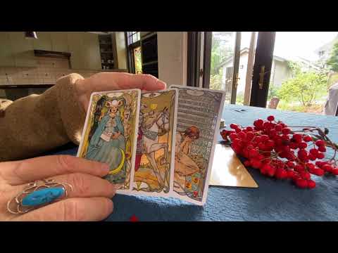 Видео: ЛУНА ОТКРОЕТ ВСЮ ПРАВДУ О ВАШЕЙ СУДЬБЕ🏠ПО КАКОЙ ДОРОГЕ ВЫ ПОЙДЕТЕ❓СКРЫТЫЕ МОМЕНТЫ ✨Колена Таро