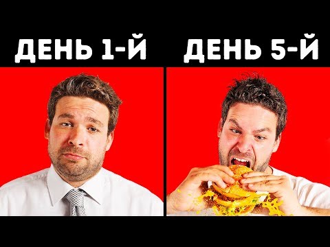 Видео: Что если каждый день питаться только фастфудом