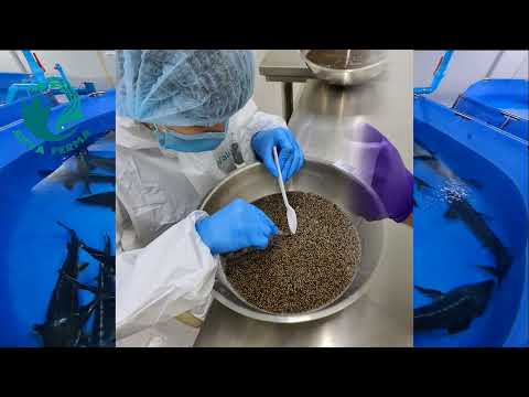 Видео: Получение черной осетровой икры в УЗВ Таиланд Ч3 | Akva Ferma