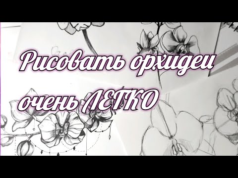 Видео: Как рисовать орхидеи СКЕТЧИНГ видеоурок орхидеи построение , графика Орхидея
