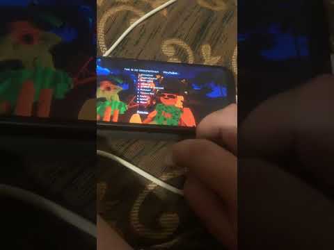 Видео: 19 ноября 2025 г.