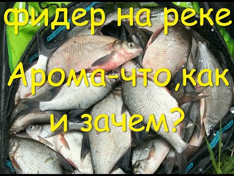 Видео: Фидер на Оке. Фидерный монтаж .Ароматика что,как и зачем?