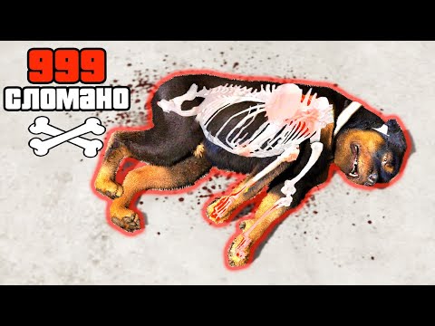 Видео: Я СЛОМАЛ ЧОПУ ВСЕ КОСТИ!! - GTA 5 Эксперименты (Моды ГТА 5)