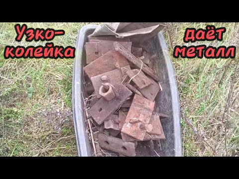 Видео: Осенний металлокоп по бывшей узкоколейной железной дороге с deus ll, собираю пропуски nokta legend