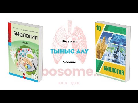 Видео: 10-сынып Тыныс алу | 5-бөлім | Ribosome.kz | Ерік Әділ 