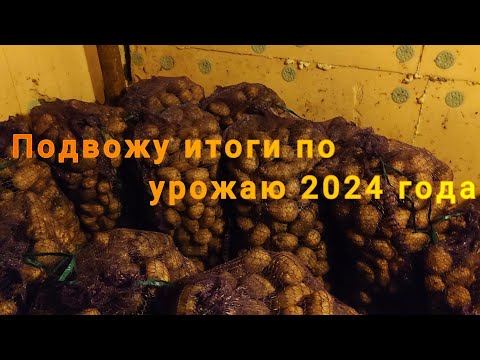 Видео: Подвожу итоги по урожаю 2024 года