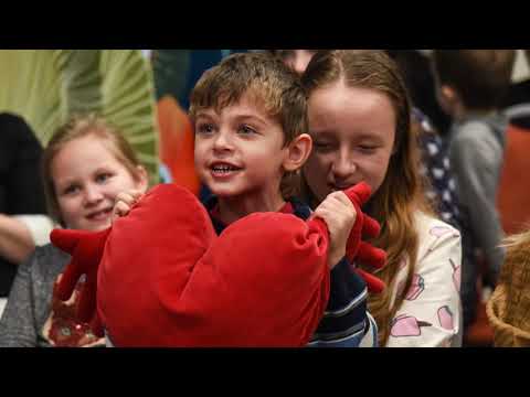 Видео: Лекция о Детской библиотеке города Кронштадта