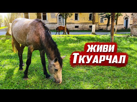 Видео: Путешествие