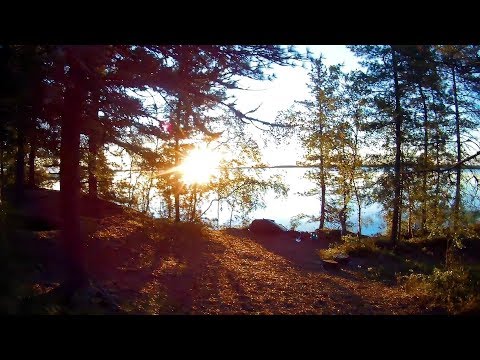 Видео: Возвращение домой, коп в тайге, Minelab CTX 3030