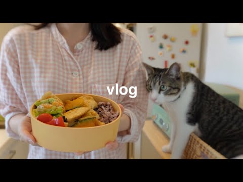 Видео: [VLOG] Моя насыщенная повседневная жизнь: работа в компании и YouTube 👩‍💻 Размышления на YouTube 🧠💭