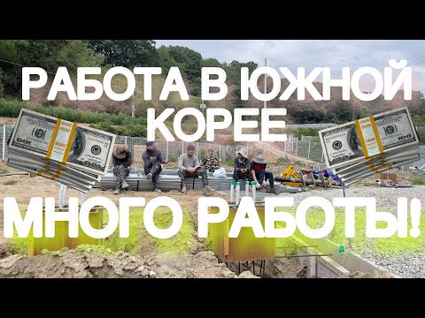 Видео: Работа в южной Корее! ОГРОМНЫЕ ДЕНЬГИ!!! МНОГО РАБОТЫ! #korea #money