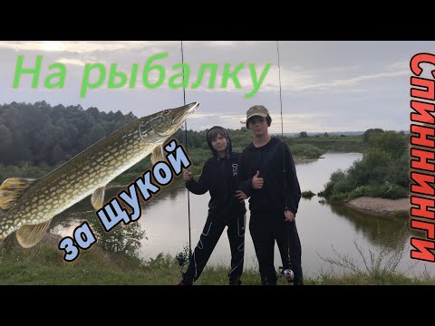 Видео: Рыбалка на спиннинг! Река Жиздра 🦈.