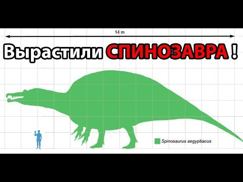 Видео: Вырастили СПИНОЗАВРА ! ( The Isle )