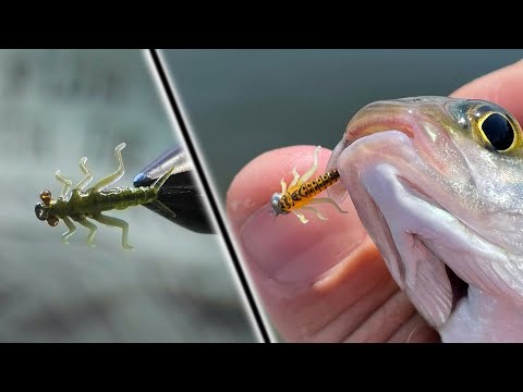 Видео: Мармеладная Личинка Веснянки с Новыми Лапками! Fly Tying Stone Fly  Nymph
