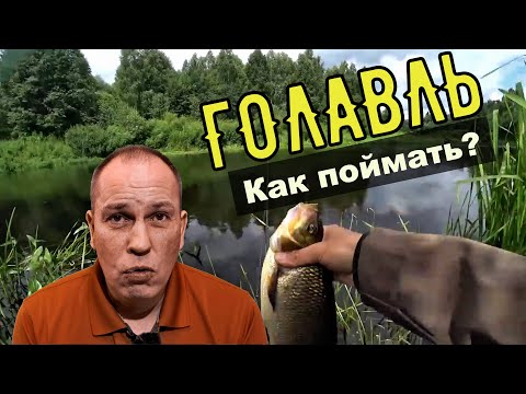 Видео: Как поймать голавля. Спиннинг, Катушка, Плетёнка, Приманки