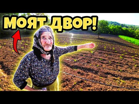 Видео: ЕЛА ДА ТИ ПОКАЖА!