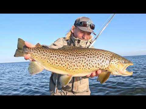 Видео: Назад на побережье — Си Ран Браун