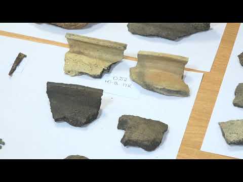 Видео: Археологические находки-2020. Селище в Заокском районе Тульской области