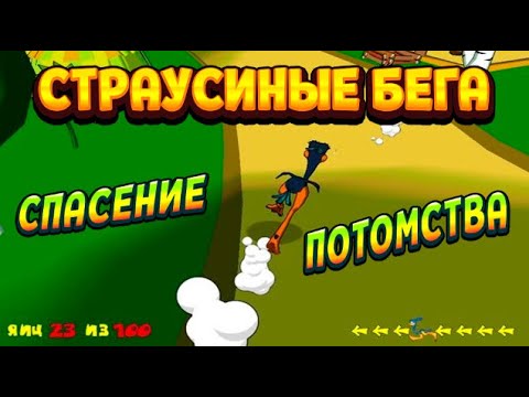 Видео: СТРАУСИНЫЕ БЕГА И СПАСЕНИЕ ПОТОМСТВА ( Ostrich Runner )